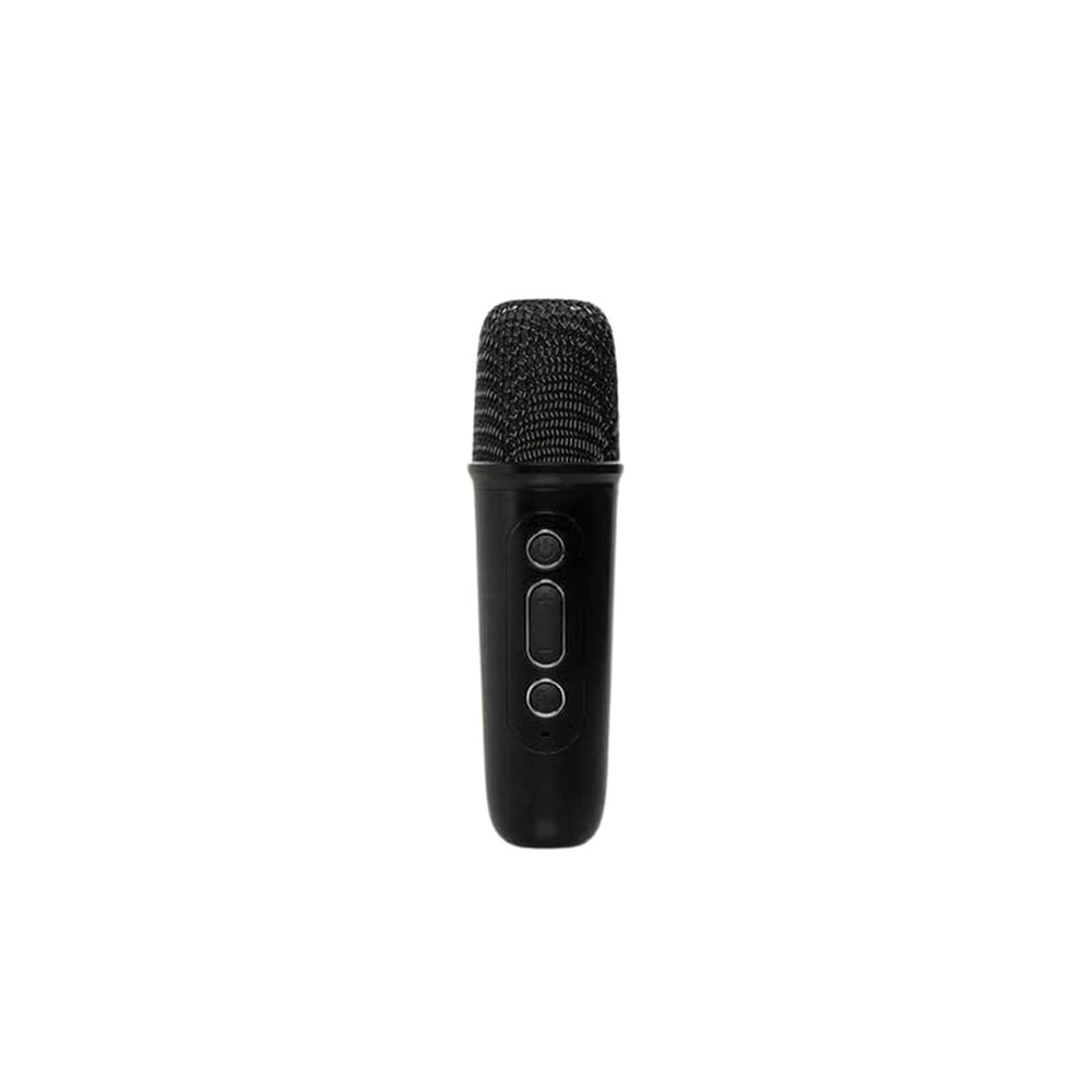 Personalized Portable Karaoke Speaker Set with Wireless Microphone - Image 3